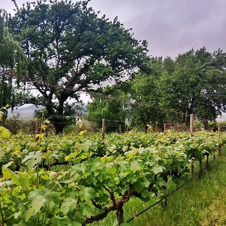 Cabernet Cottage Be Still And Know Franschhoek Dış mekan fotoğraf
