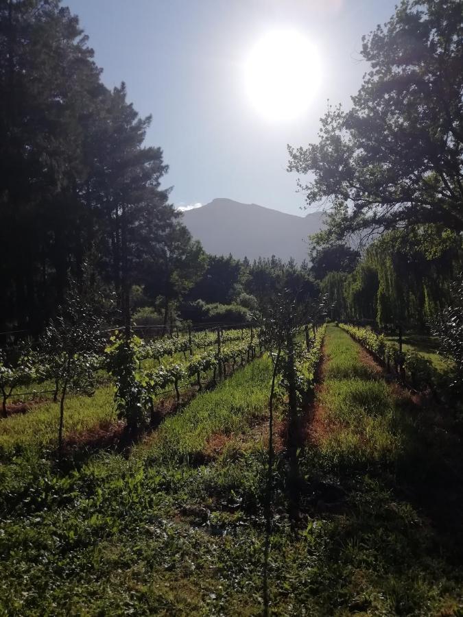 Cabernet Cottage Be Still And Know Franschhoek Dış mekan fotoğraf