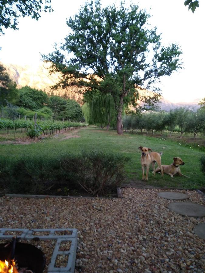 Cabernet Cottage Be Still And Know Franschhoek Dış mekan fotoğraf