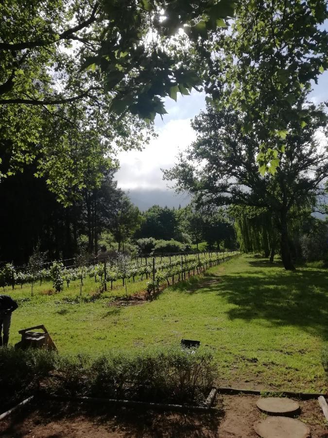 Cabernet Cottage Be Still And Know Franschhoek Dış mekan fotoğraf
