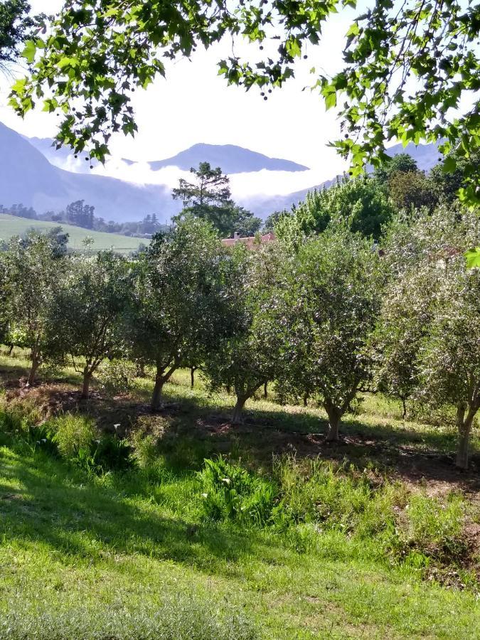 Cabernet Cottage Be Still And Know Franschhoek Dış mekan fotoğraf